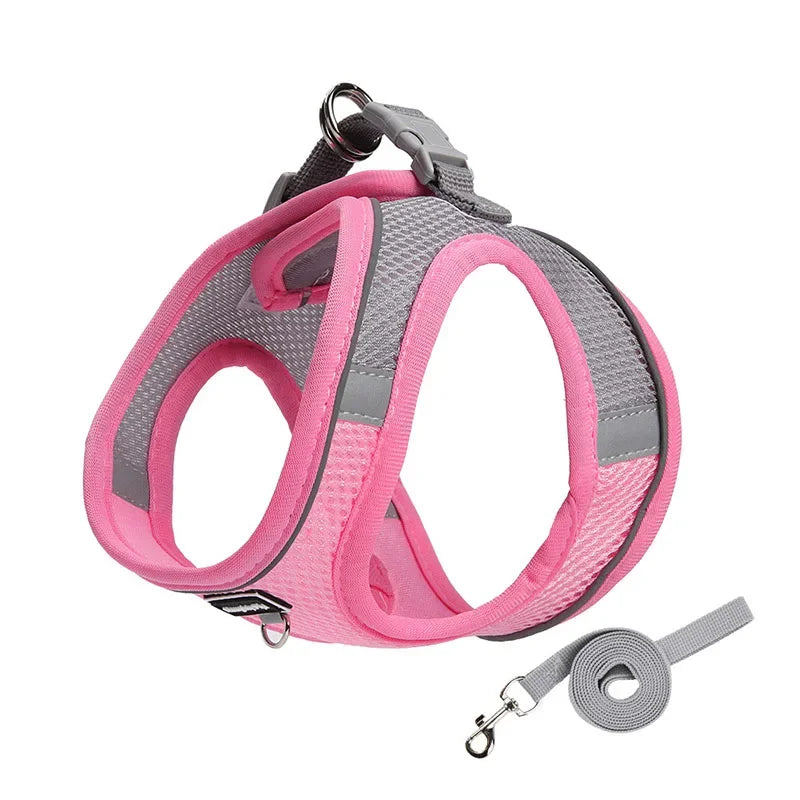 Guangdong CN Adjustable Dog Harness Vest For Small Dogs