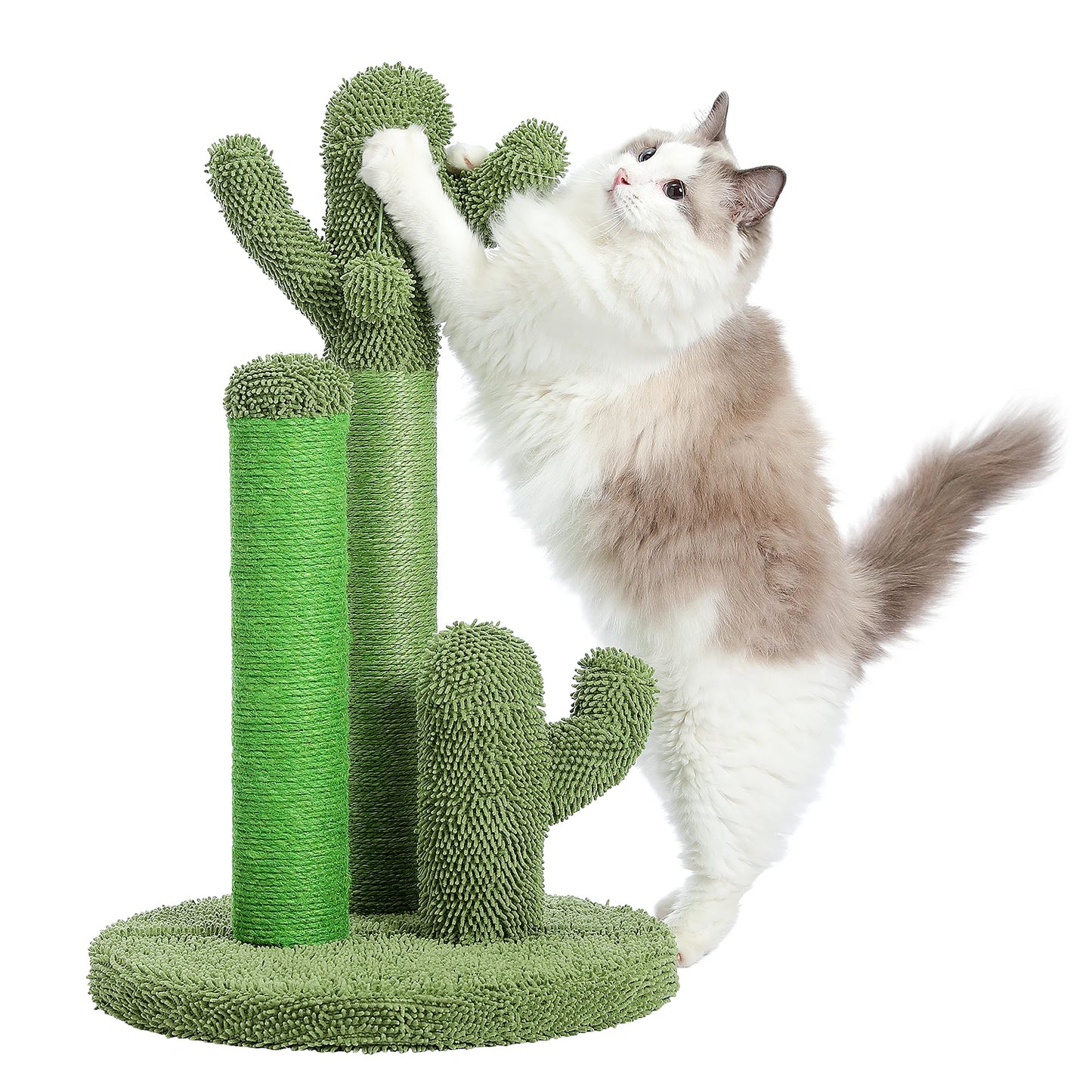PAWZ Road Cactus Cat Scratcher Cat Scratching Post