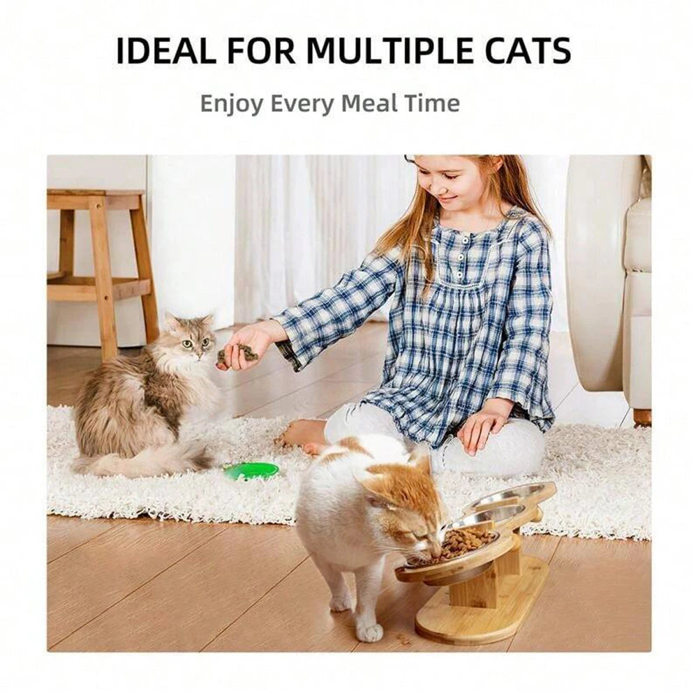 Petravel Tilted Raised Cat Bowl Feeder With 3 Bowls