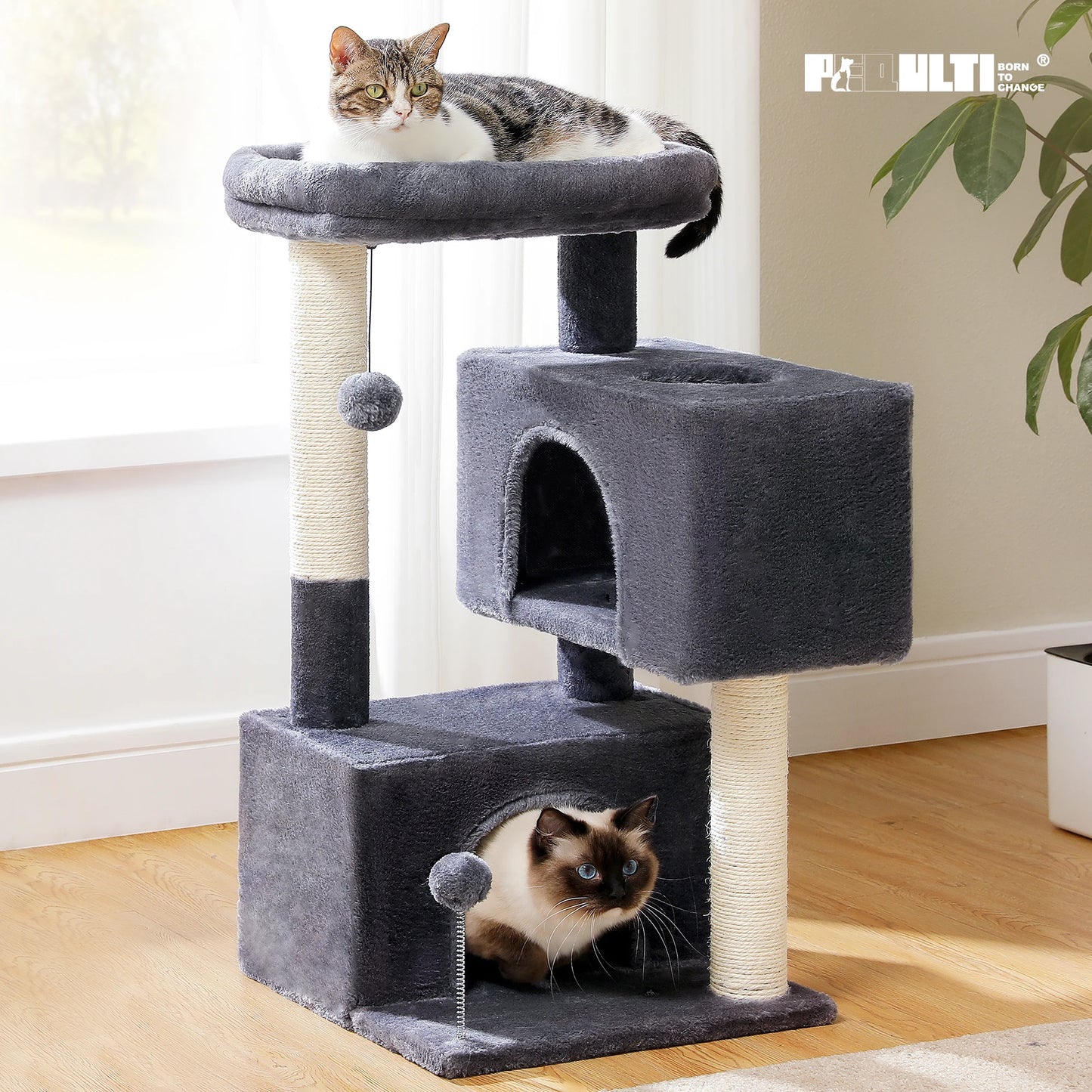 PAWZ Road Large Cat Tree Indoor Multi Level Cat Tower