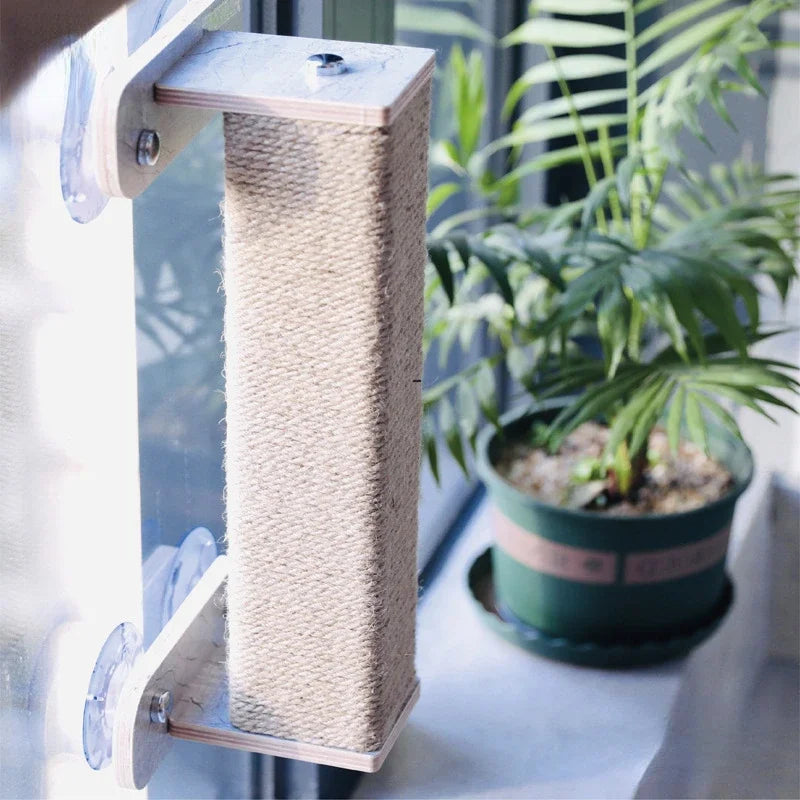 OIMGCN Glass Cat Wall Suction Mount For Easy Climbing