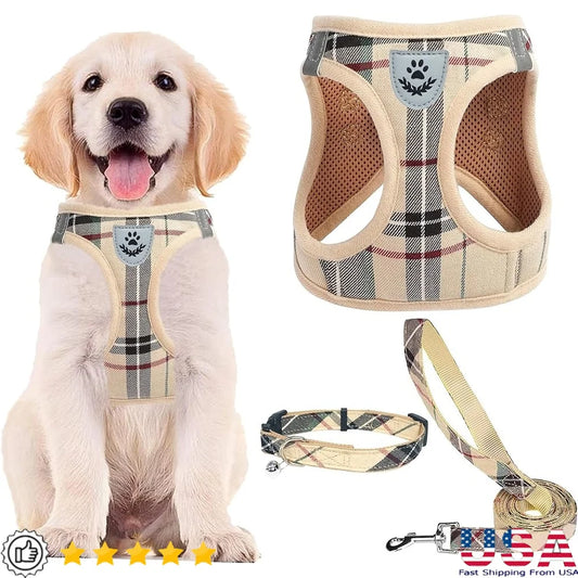 Fujian Adjustable No Pull Breathable Dog Harness Leash Set