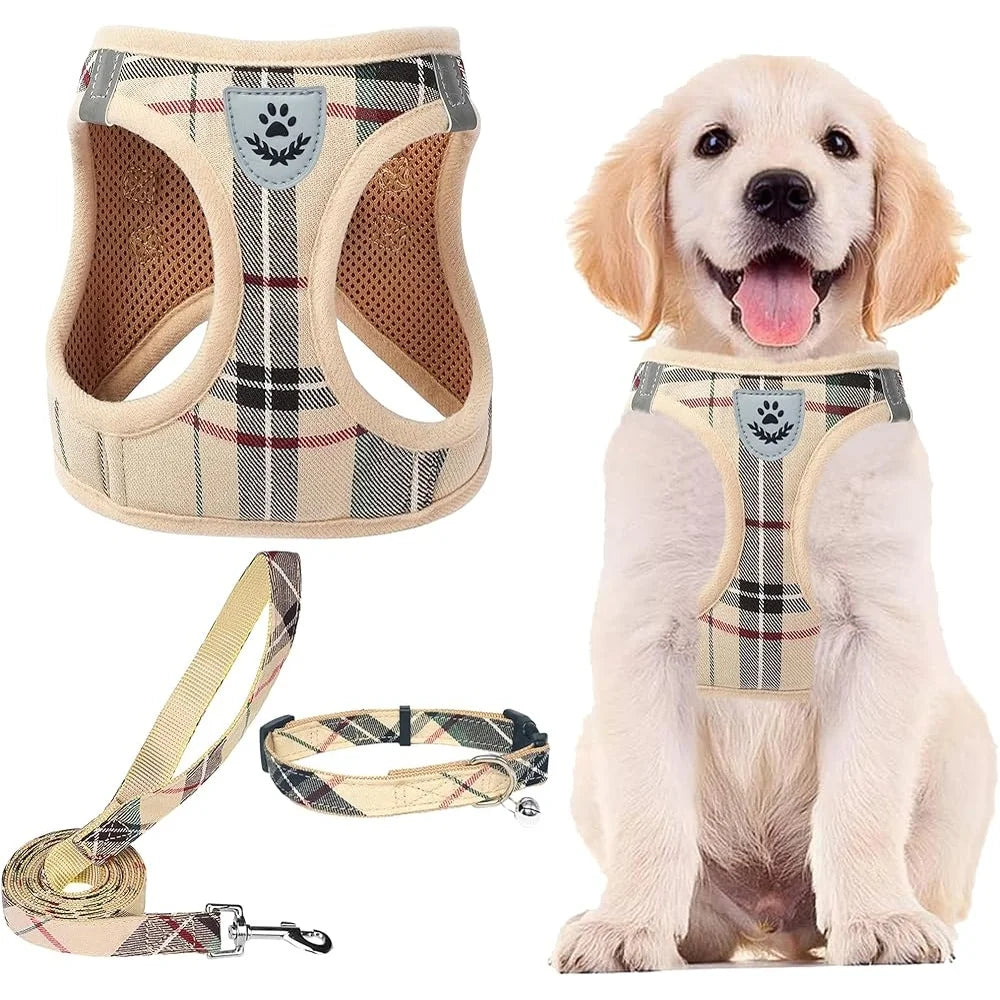Fujian Adjustable No Pull Breathable Dog Harness Leash Set