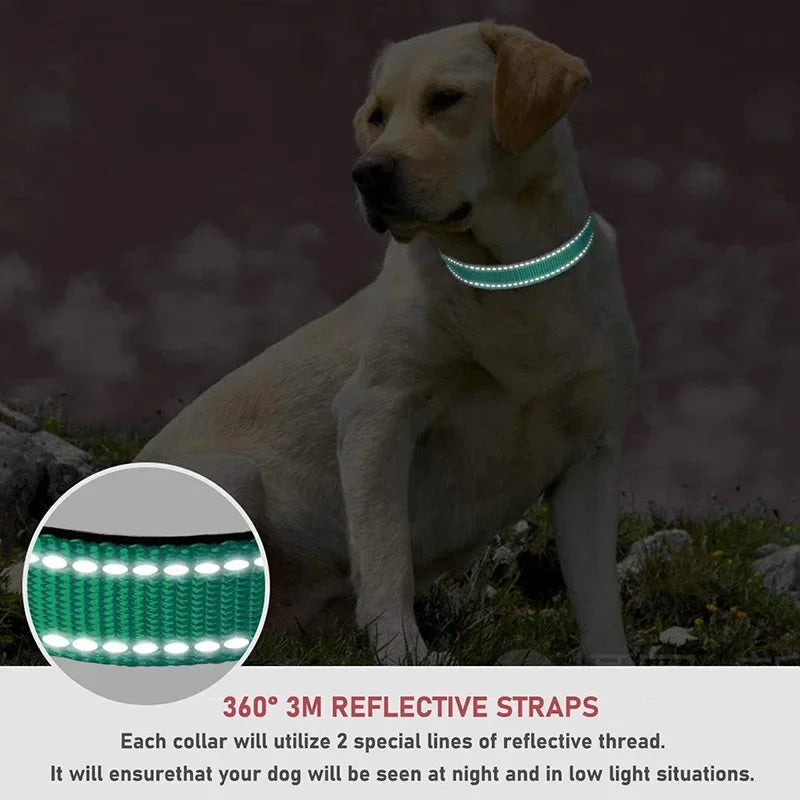 Guangdong Reflective Nylon Dog Collar Adjustable Safety