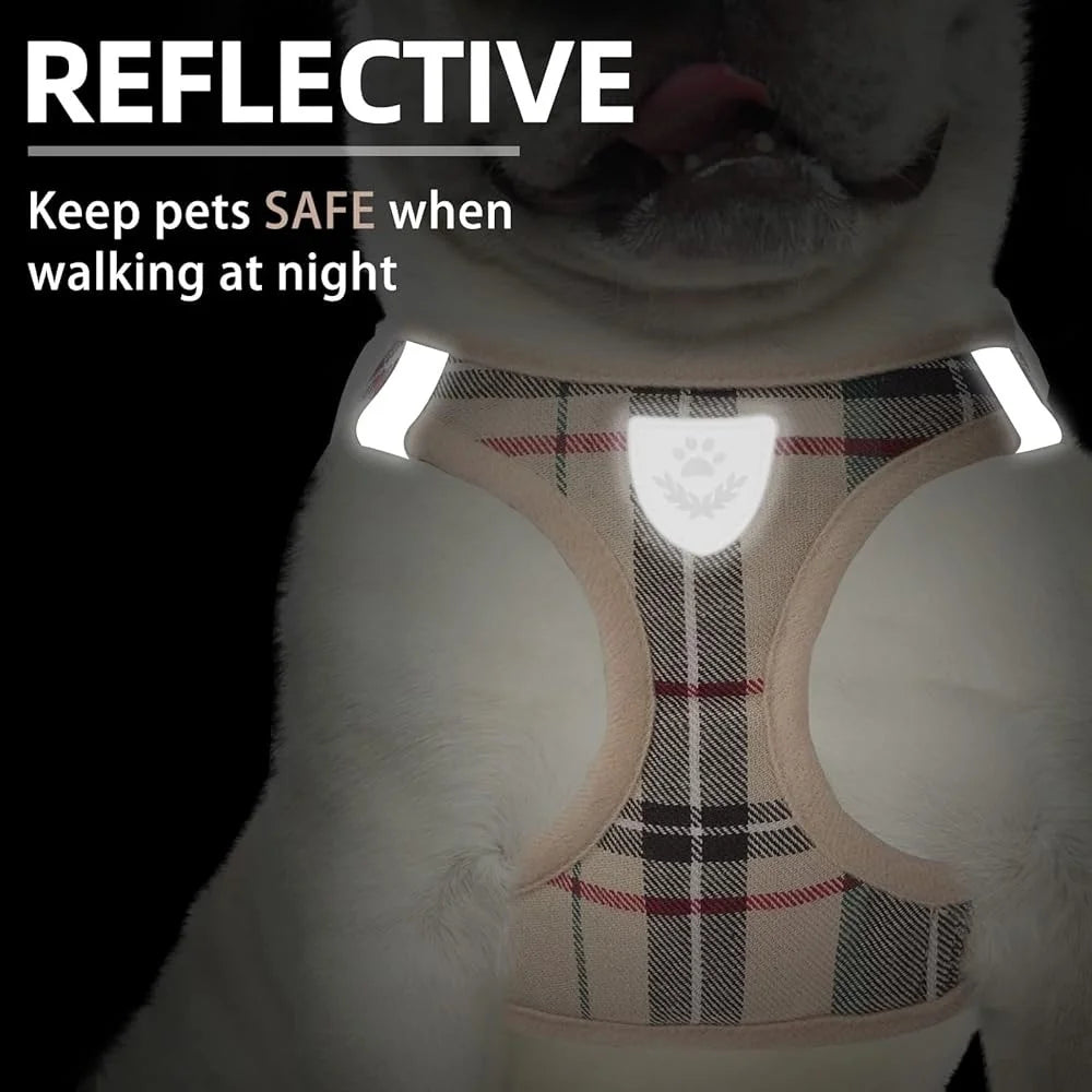 Fujian Adjustable No Pull Breathable Dog Harness Leash Set