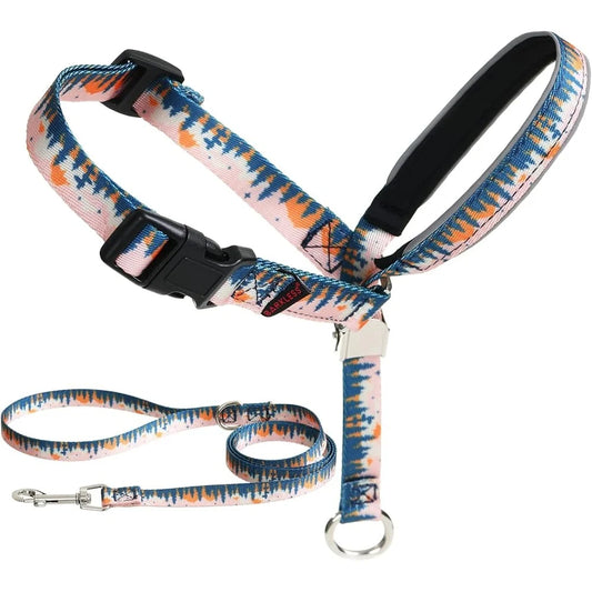 CN Fujian Dog Head Collar Anti Pulling Harness With Leash