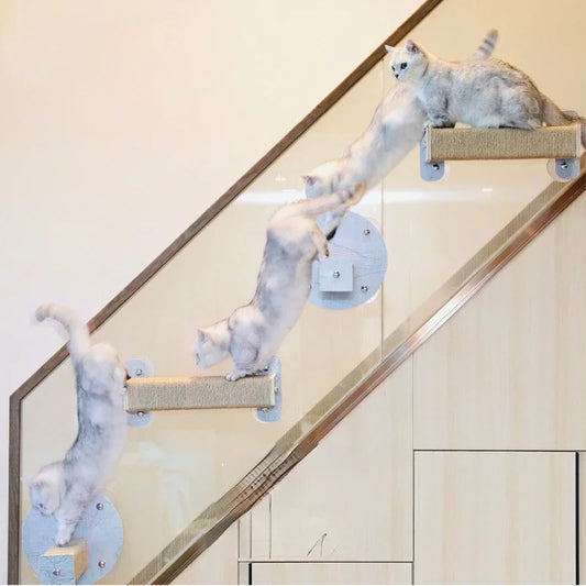 OIMGCN Glass Cat Wall Suction Mount For Easy Climbing