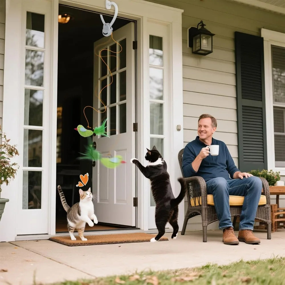 Hign Concerned Automatic Indoor Cat Flying Bird Wand Toy