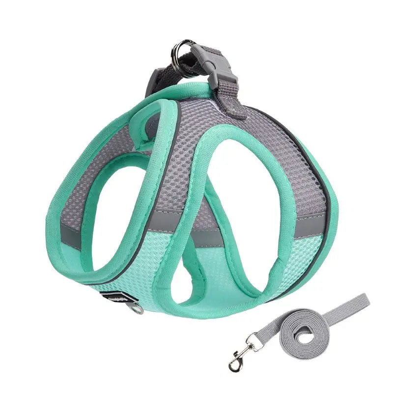 Guangdong CN Adjustable Dog Harness Vest For Small Dogs