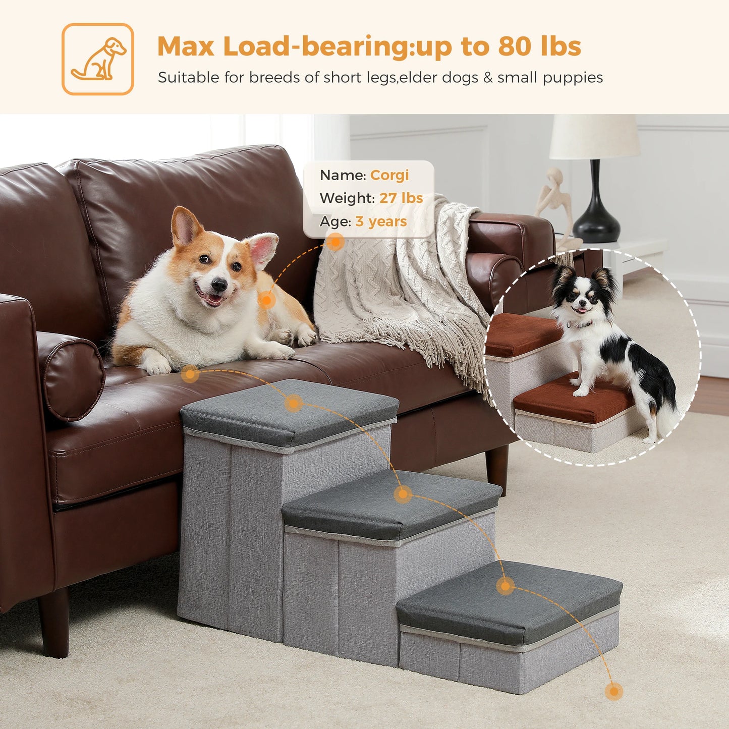 PAWZ Road 3 Tier Dog Stairs Foldable Steps with Storage