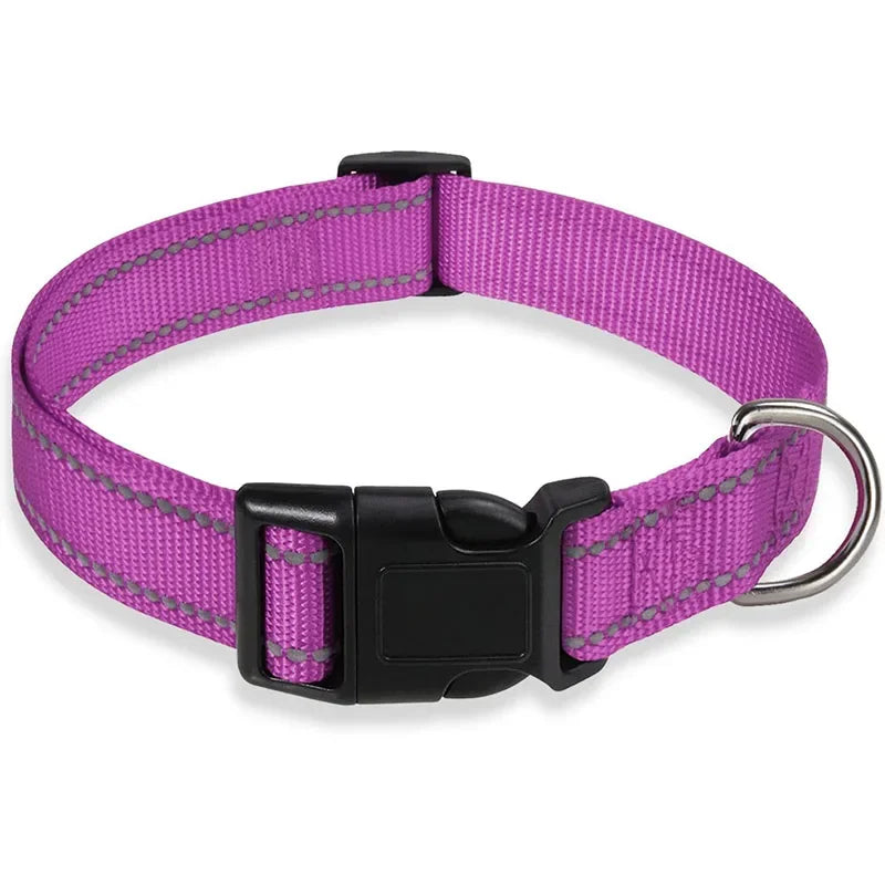 Guangdong Reflective Nylon Dog Collar Adjustable Safety