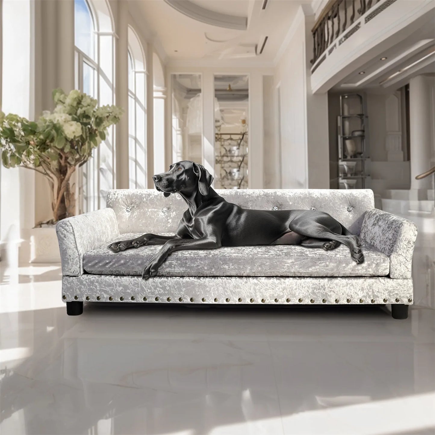 BINGOPAW Velvet Memory Foam Dog Sofa Bed Deluxe Tufted Lounge