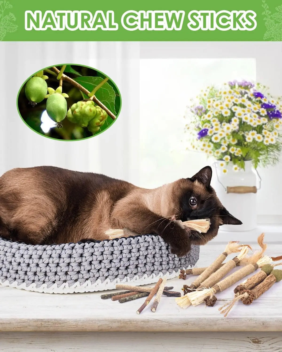 Zhejiang Silvervine Cat Chew Sticks Pack For Dental Care