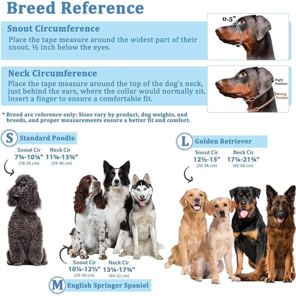 CN Fujian Dog Head Collar Anti Pulling Harness With Leash