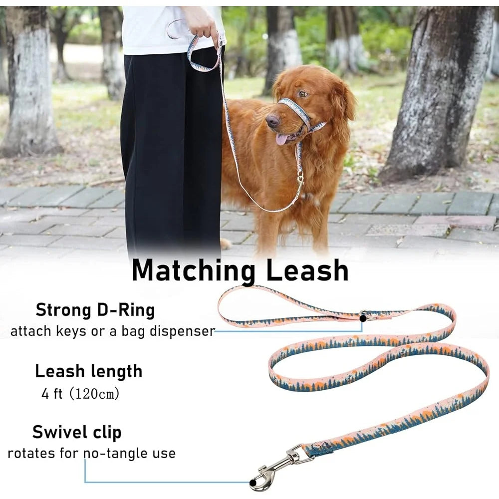 CN Fujian Dog Head Collar Anti Pulling Harness With Leash