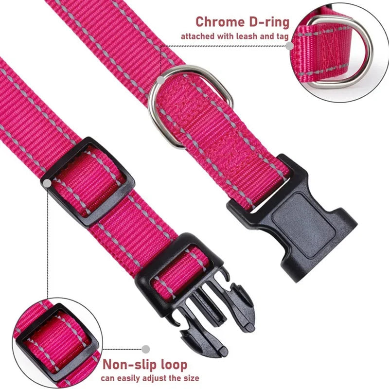 Guangdong Reflective Nylon Dog Collar Adjustable Safety