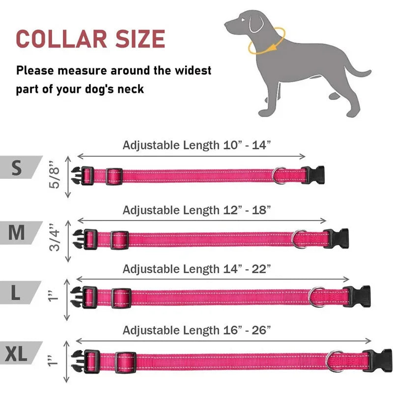 Guangdong Reflective Nylon Dog Collar Adjustable Safety