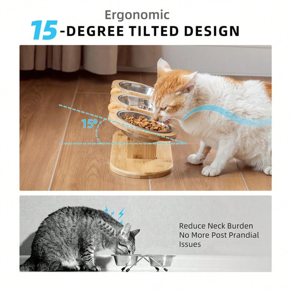 Petravel Tilted Raised Cat Bowl Feeder With 3 Bowls